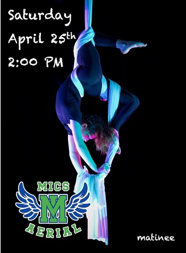 MICS Aerial Show 2026: Young Raptors Take Flight,   a Matinee poster