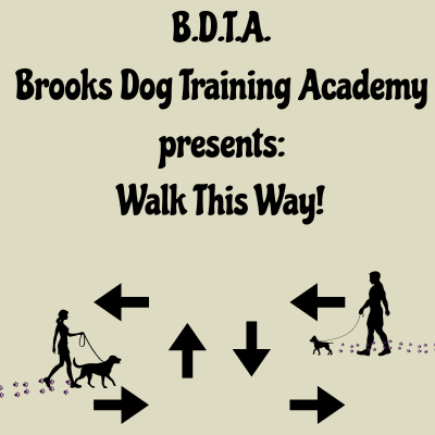 Walk This Way: A Leash Manners Workshop poster