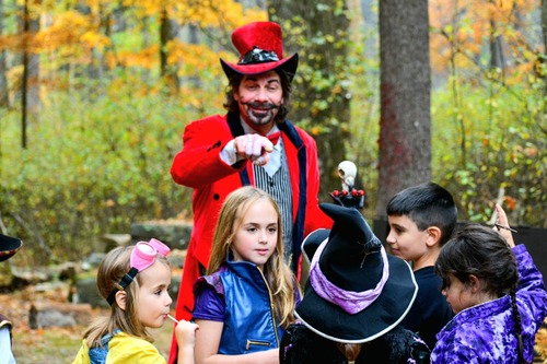 Dark Forest Kids Matinee 2023 poster